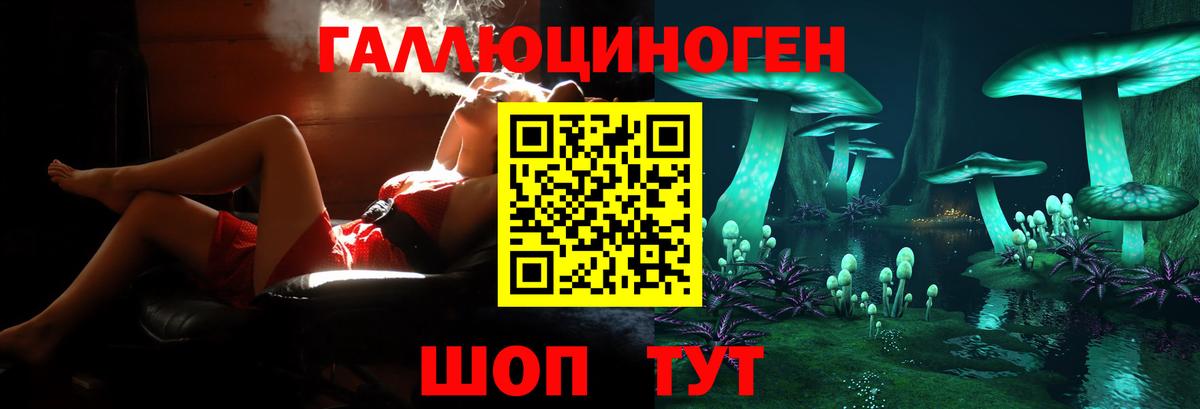 купить  цена  Вход с VPN  Беслан  Галлюциногенные грибы мицелий 